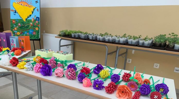 Mali bazar kreativnosti