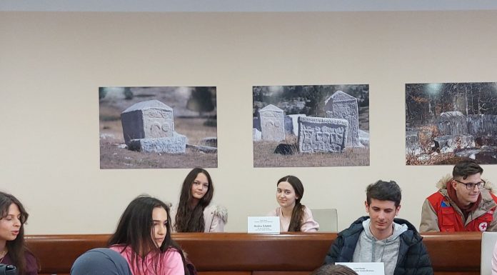 DAN RUŽIČASTIH MAJICA