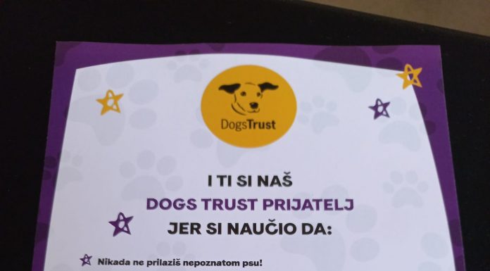 DOGS TRUST